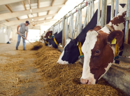 Copy of DigiMa Project - 2