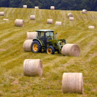 bales-1592620_1280